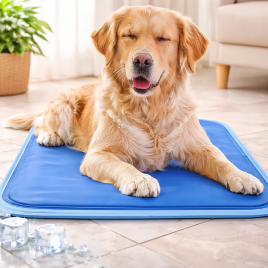 Manta Pro-Chill™: El Refugio de Frescura Instantánea para tu Mascota